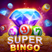 Super Bingo playtime app game