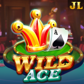 Wild Ace playtime app slot